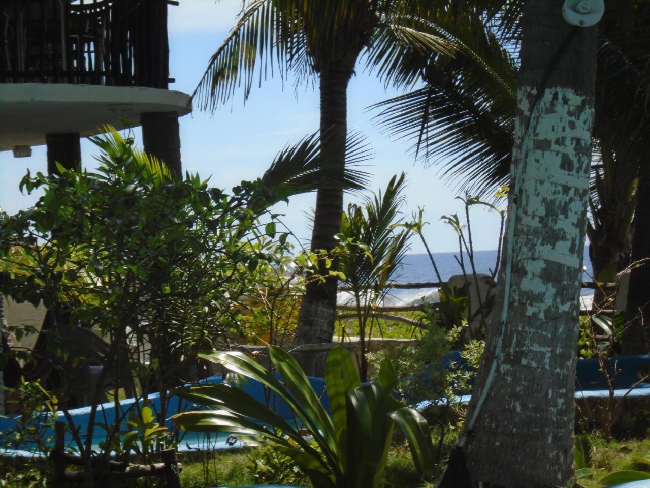 Marbella Eco Lodge Монтеррико Экстерьер фото