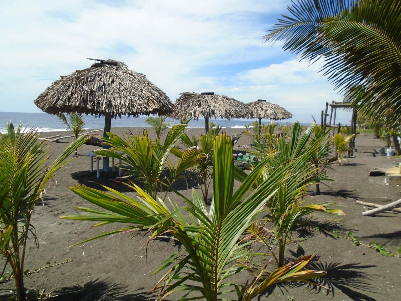 Marbella Eco Lodge Монтеррико Экстерьер фото